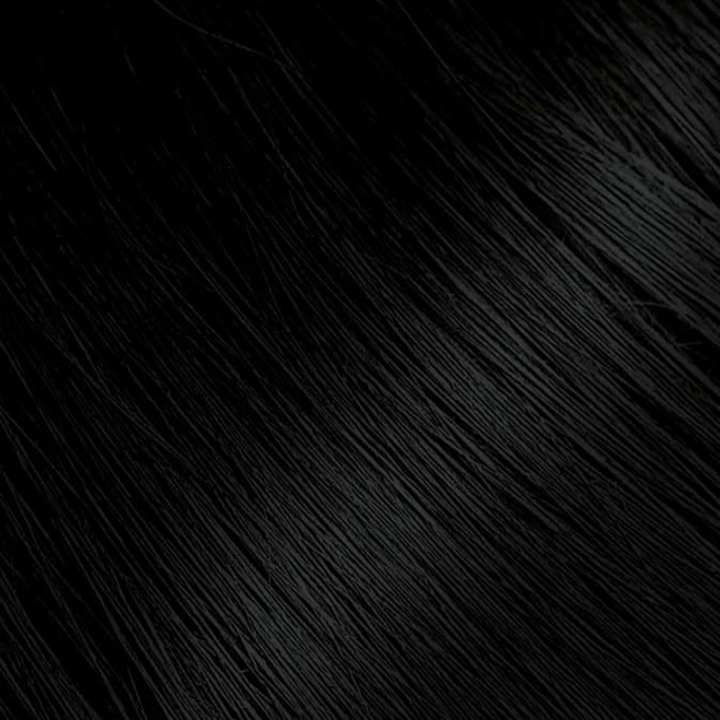 Bigen Permanent Powder Hair Color 59 Oriental Black