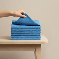 The Towel guys 14 x 14 Microfiber Towels