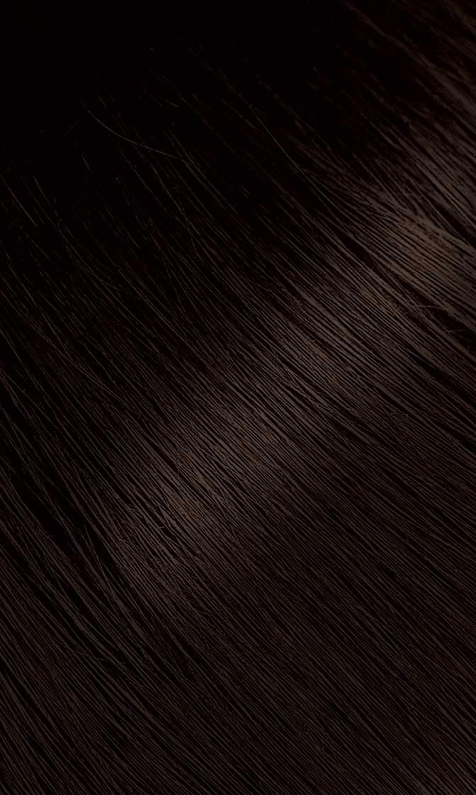 Bigen Powder Hair Color