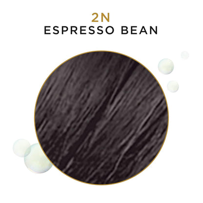 Clairol Professional COLL Gray 2N Espresso Bean - 3 oz