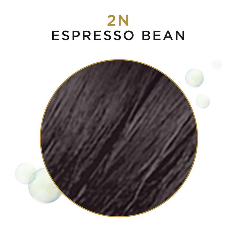 Clairol Professional COLL Gray 2N Espresso Bean - 3 oz