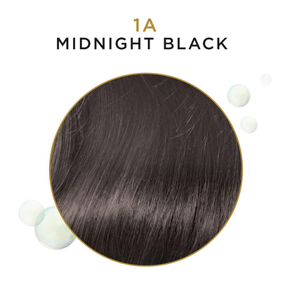 Clairol Beautiful Collection Semi-Permanent Hair Color - BEAU COLL GRAY [1A] Midnight Black, 3 oz