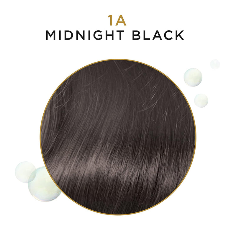 Clairol Beautiful Collection Semi-Permanent Hair Color - BEAU COLL GRAY [1A] Midnight Black, 3 oz