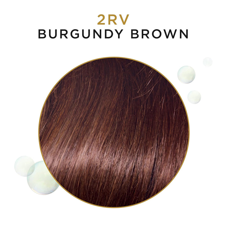 Clairol Professional Burgundy Brown Hair Color – 3 oz