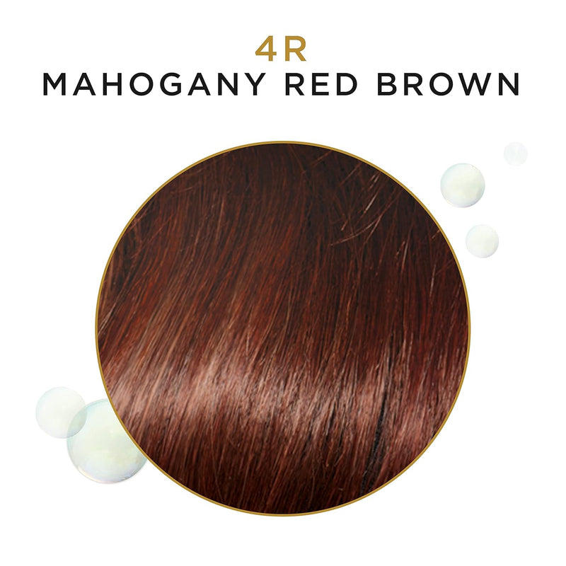 Clairol Professional Toasted Hazelnut 3oz – Rich, Warm Hair Color